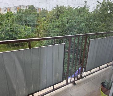 Mieszkanie Częstochowa Północ powierzchnia 28.0 m² C226-WM-25372 - Photo 5