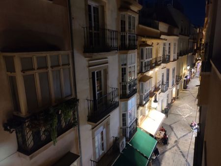 Piso de alquiler en Calle San Juan de Letrán, La Merced - Photo 2