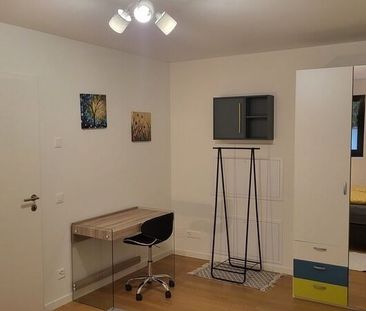 21/2-ROOM APARTMENT IN MINUSIO (TI), FURNISHED - Foto 3