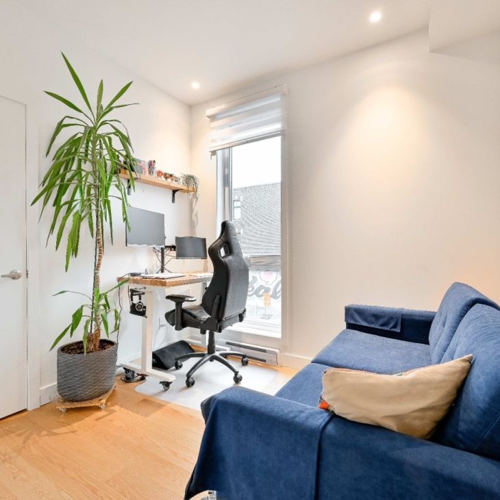 Appartement à louer - Montréal (Rosemont/La Petite-Patrie) (La Petite-Patrie) - Photo 1