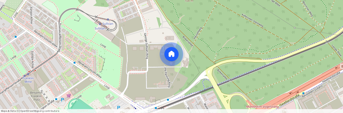 George-Sullivan-Ring 103, 68309, Mannheim