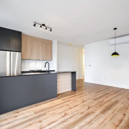 5 1/2 - Montréal (La Petite-Patrie) - $2 695 /mois - Photo 3