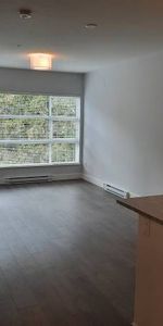 Spacious 1Bedroom and Den Condo - Photo 3