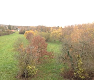 location Appartement T2 DE 45.92m² À BLOIS - Photo 2