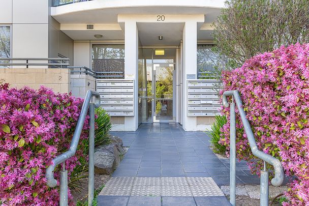 8/20 Moore Street, Turner ACT 2612 - Apartment For Rent | Domain - Photo 1