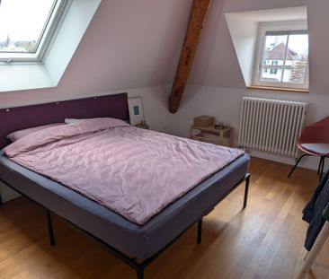 2 Zimmer, 69 m², 5. Stock - Photo 5