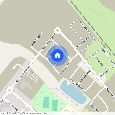 297 Starflower Pl, Milton