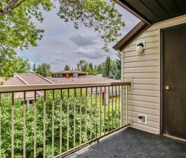 Spruce Grove Lane - Photo 3