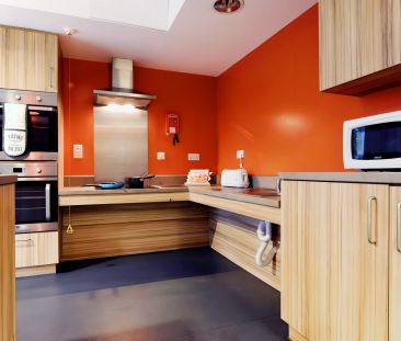 Bronze (Carer) - Photo 5