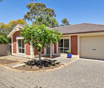 54B Furness Avenue, Edwardstown. - Photo 3