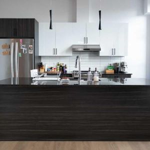 Magnifique 4½ lumineux à aire ouverte à Saint-Hyacinthe - Photo 2