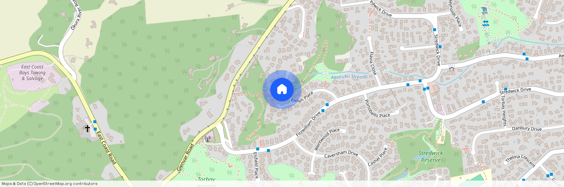 19 Emlyn Place, Torbay, North Shore City