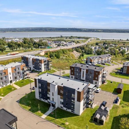 Grand 5 1/2, ANIMAUX ACCEPTÉS, Libre le 1er juillet - Photo 4