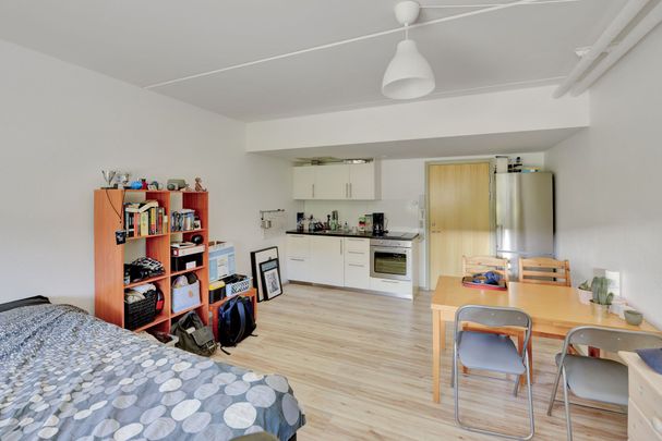 Vestervang 30, st tv - Photo 1