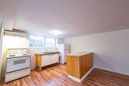 For Lease - 243 Ruggles Avenue Unit# Bsmt #2, Richmond Hill, Ontario - Photo 3