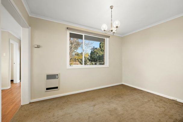 Easy Living in Evatt! - Photo 1