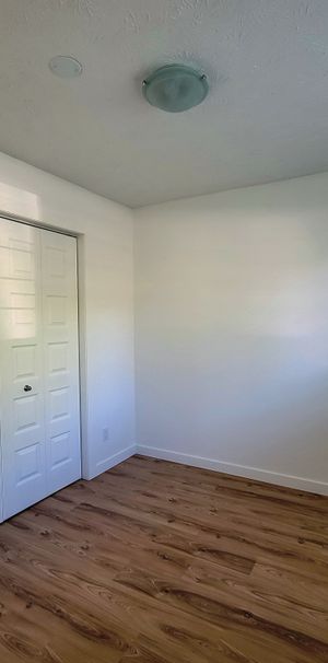 3 1/2 (1 Chambre) Libre 1er Juillet - Photo 1