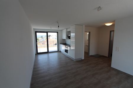 Möbelierte Luxus Attika-Apartment mit zwei grossen Terrassen in Oberentfelden - Photo 2