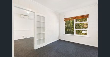 Close to CBD and The Parade - Photo 5