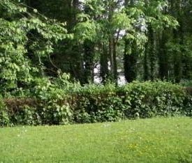 7c Stranmillis Court, Belfast, BT9 5EU - Photo 5