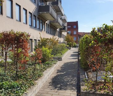 Grynbodgatan 16, Gamla Staden - Foto 3