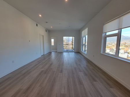 Downtown 2nd Floor Luxury 2 Bdrm * Pets - Photo 3