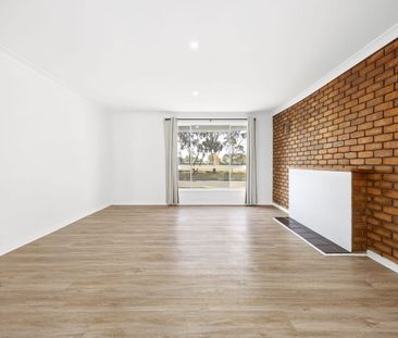 Newly Renovated 4 Bedroom - Photo 1