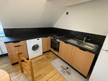 Location Appartement 1 pièce 18m² - Photo 3