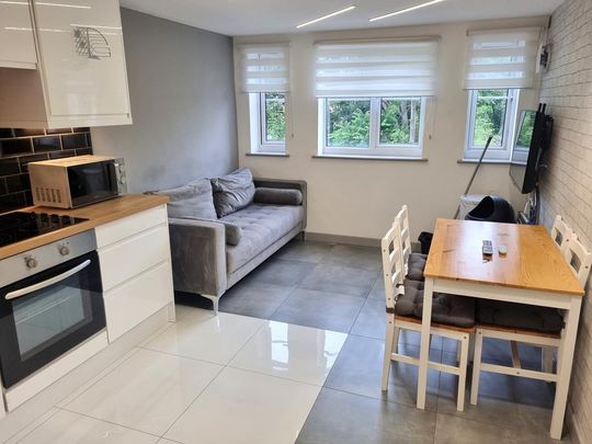 4 bedroom apartment to rent - Photo 1