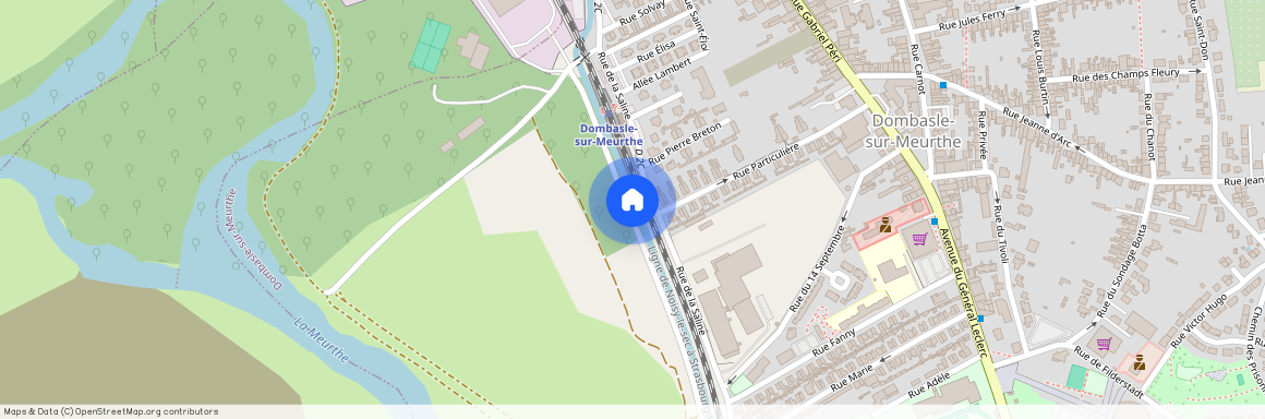 Dombasle-sur-Meurthe (54110)