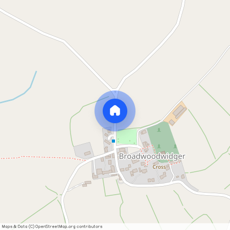 Broadwoodwidger, Lifton, PL16