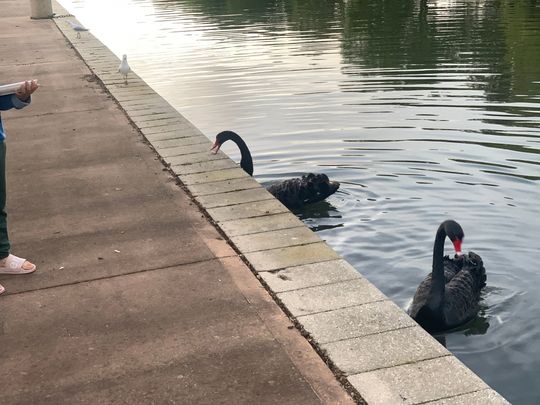 Point Cook - Photo 1