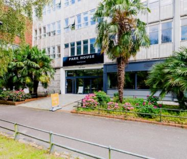 Silver Studio - Photo 6