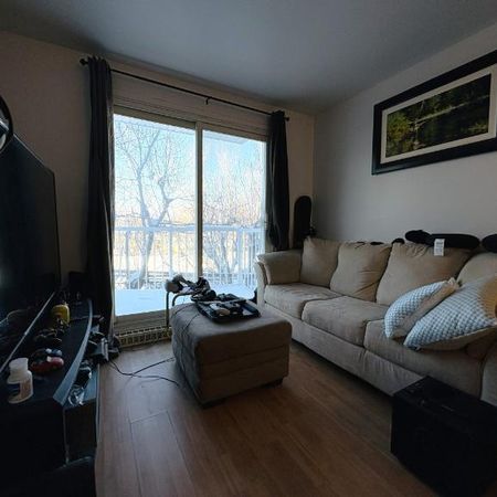 Appartement 3 ½ à louer Beauport juillet 2026 - Photo 3