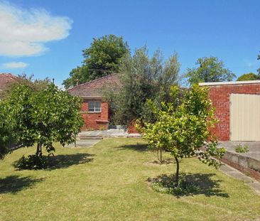 Deceptively Spacious - Photo 2