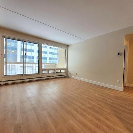 Appartement 3 ½ à louer Montcalm / Saint-Sacrement janvier 2026 - Photo 3