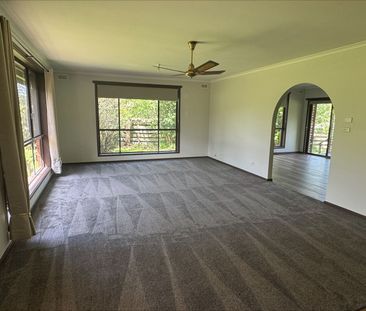 Toongabbie Delight - Photo 3