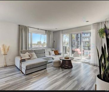 Appartement - 202-4260 Rue Bernard - Photo 2