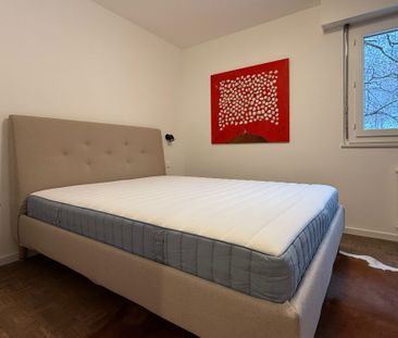 LOC 25 – MARIGNY ANDOLLA 14 - Photo 3