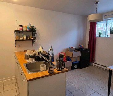 Appartement 4 1/2 à louer (animaux permis) - Photo 3