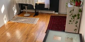 LEASE TRANSFER Sunny 1 bedroom in Little Italy - Photo 2