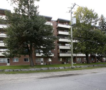 Collingwood Place - Photo 5