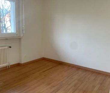 3 Zimmer, 66 m², 2. Stock - Foto 1