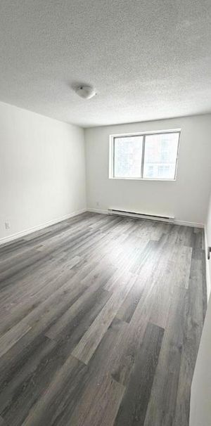Studio - Gatineau - $1,199 /mo - Photo 1