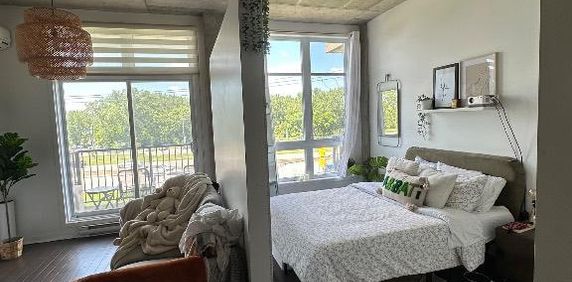 Studio à louer - Vieux-Longueuil! - Photo 2