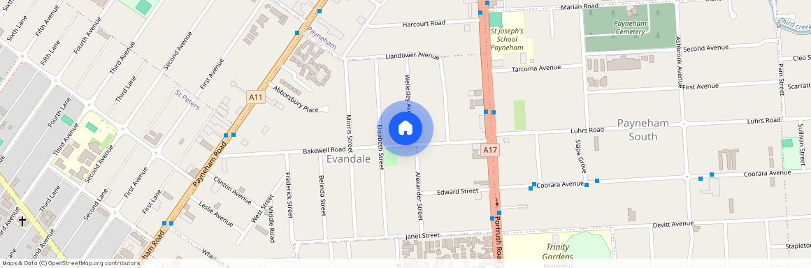 25 Wellesley Avenue, SA 5069, Evandale