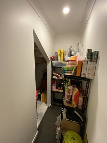 66A Clifford Road, Johnsonville - Photo 5