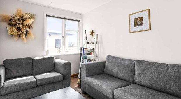 Modern 3-Bedroom Apartment for Rent in Marewa, Napier – $630.00 per Week - Photo 1