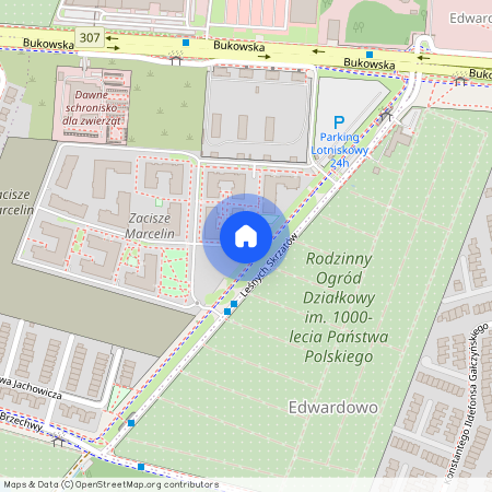 ul. Leśnych Skrzatów, Ławica, Grunwald, Poznań, wielkopolskie