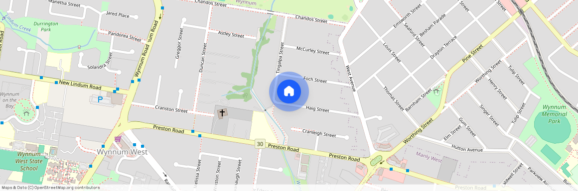 59 Haig Street, Qld 4178, Wynnum West